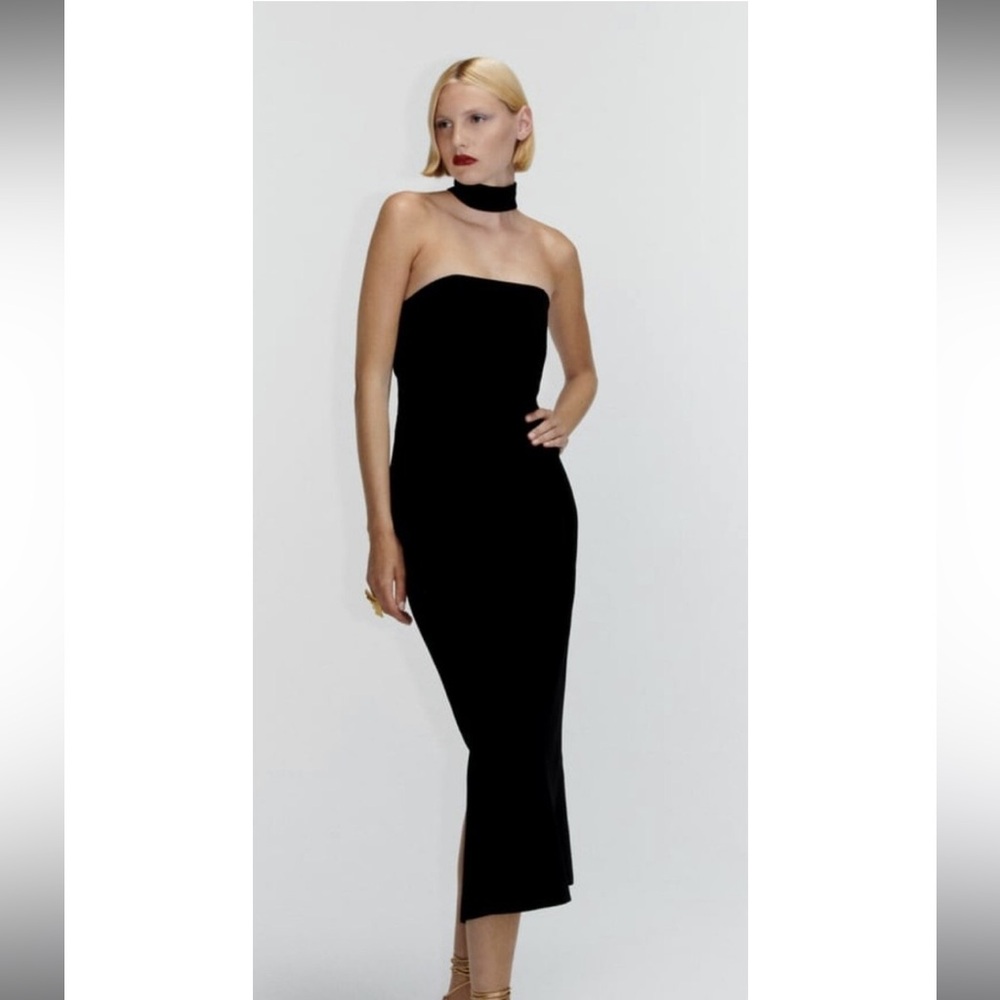 Zara Strapless Draped Dress with Choker